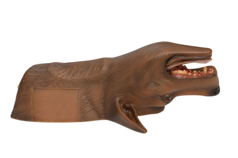 "Louie K9" Canine Tracheostomy Simulator