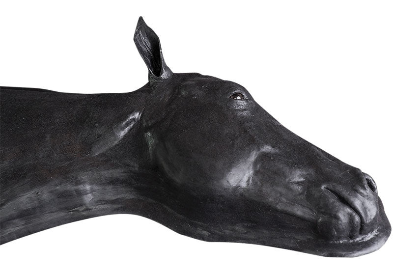 Advanced Equine Simulator