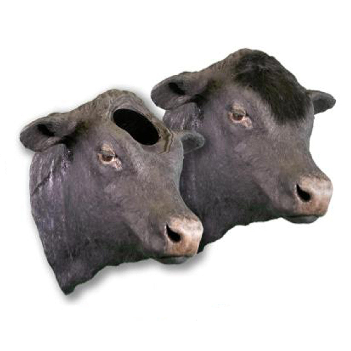 Market Steer Bolt Gun Training Model