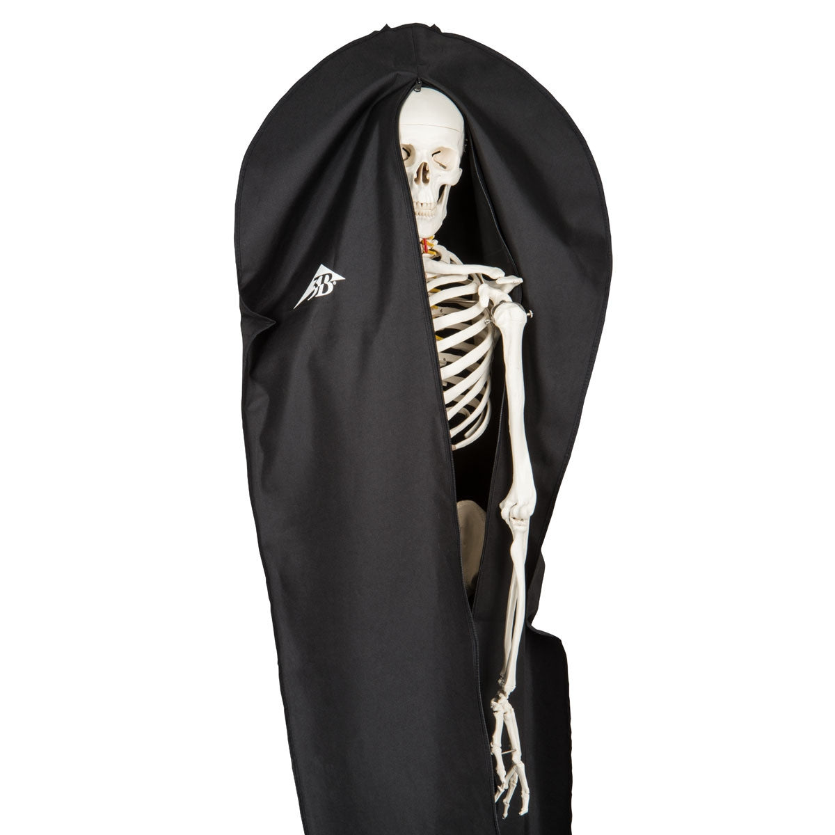 Heavy Duty Dust Cover for Skeleton Models