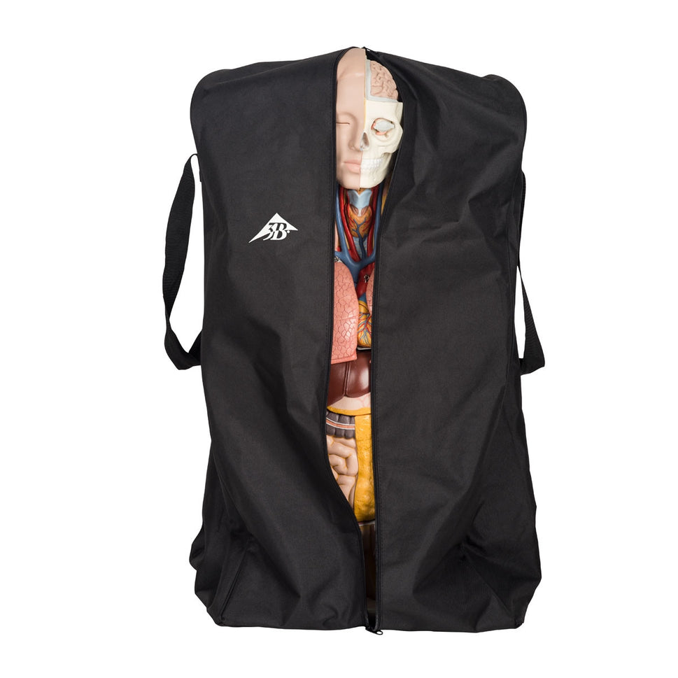 Heavy Duty Dust Cover for Torso Models