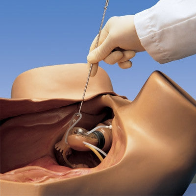 ZOE Gynaecological Skills Trainer