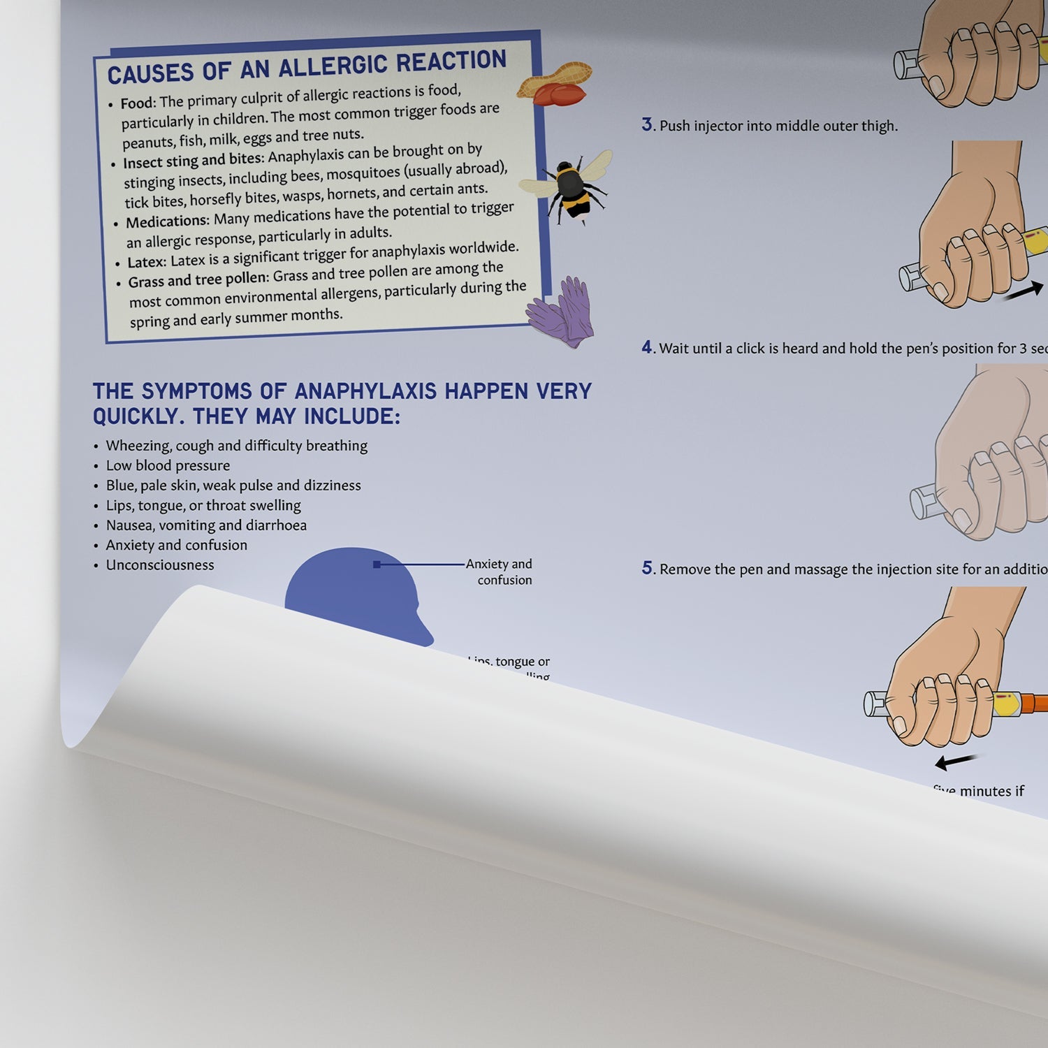 What to Do In Case of An Allergic Reaction Chart / Poster - Part of Collection