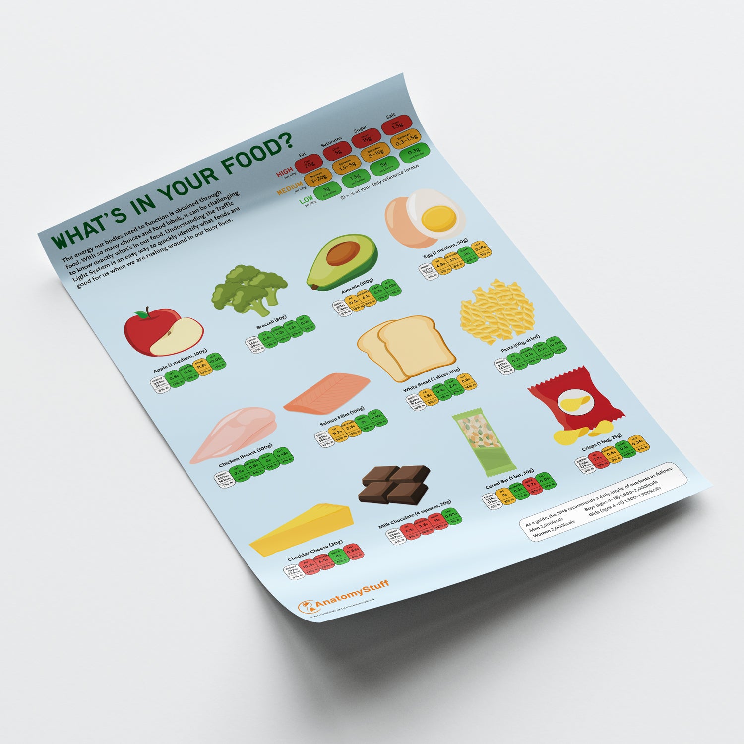 What's In Your Food? Chart / Poster