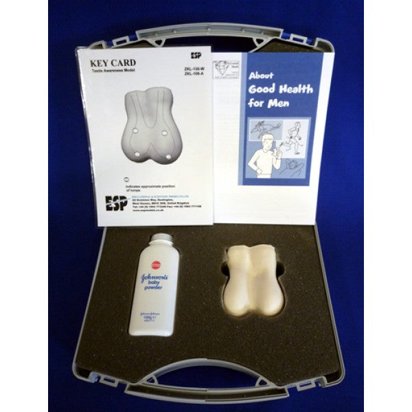 Testis Awareness Model (White)