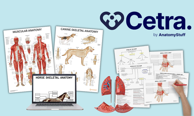The Ultimate Study Toolkit for Medical and Veterinary Students