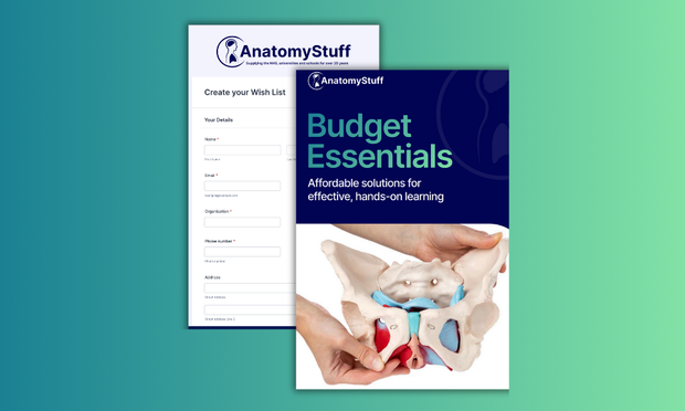 How to Get Ahead for Quarter 4: Making the Most of Your End-of-Year Budget