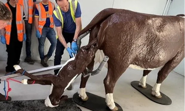 How Farming and Abattoir Training Are Being Revolutionised with VSI Veterinary Simulators