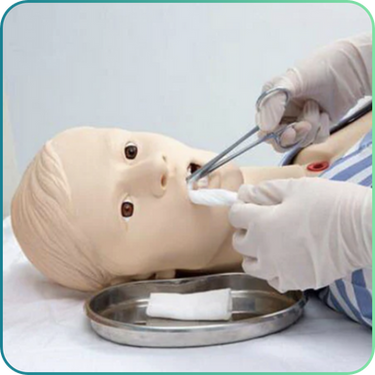 Anatomy Lab