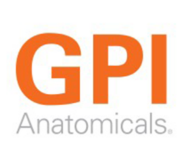 GPI Anatomicals