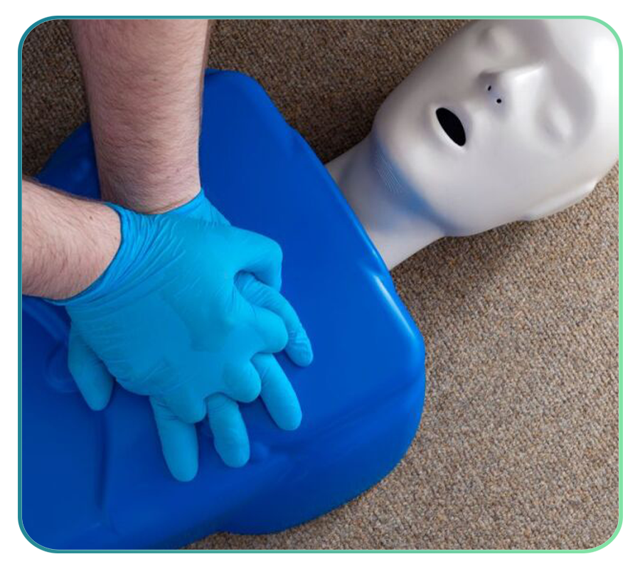 CPR Training Models | CPR Dummy | Resuscitation Manikin – AnatomyStuff