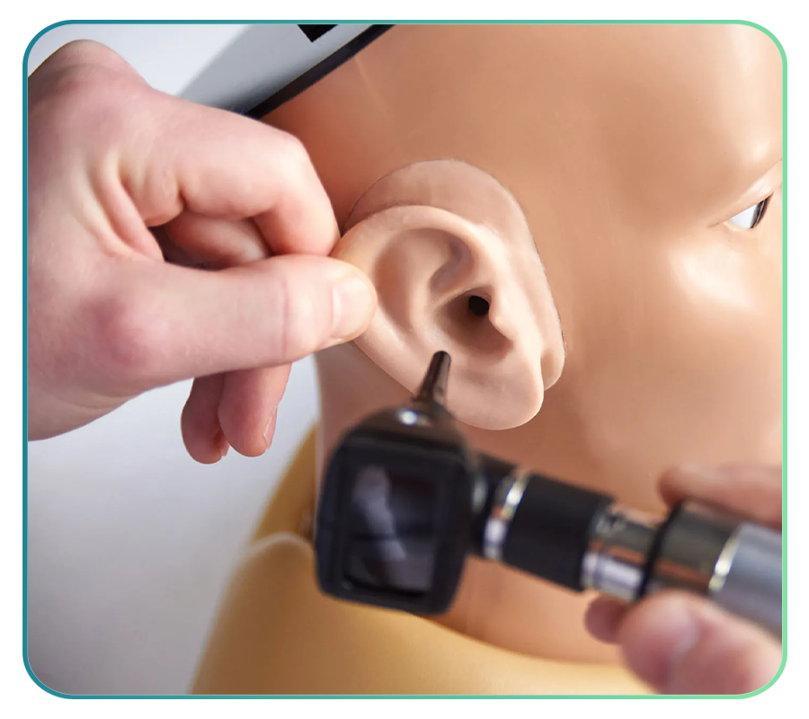 Ear Examination Models | Ear Trainers | Otoscopy Clinical Skills ...