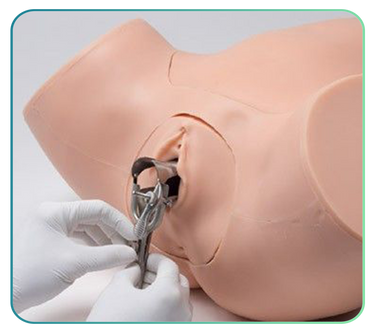 IUD / IUS (Coil) Insertion Training Models