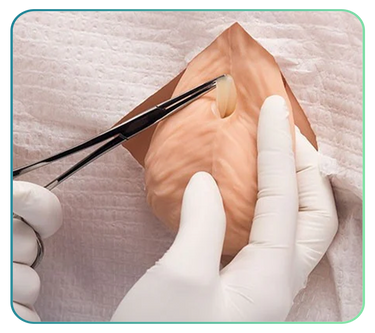 Vasectomy Trainers