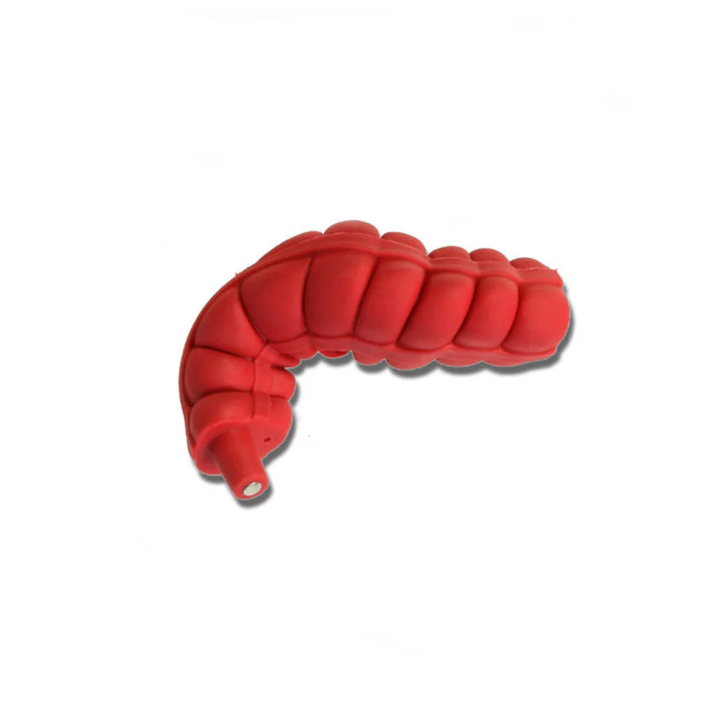 Ascending/Transverse Large Intestine For Otto Ostomy