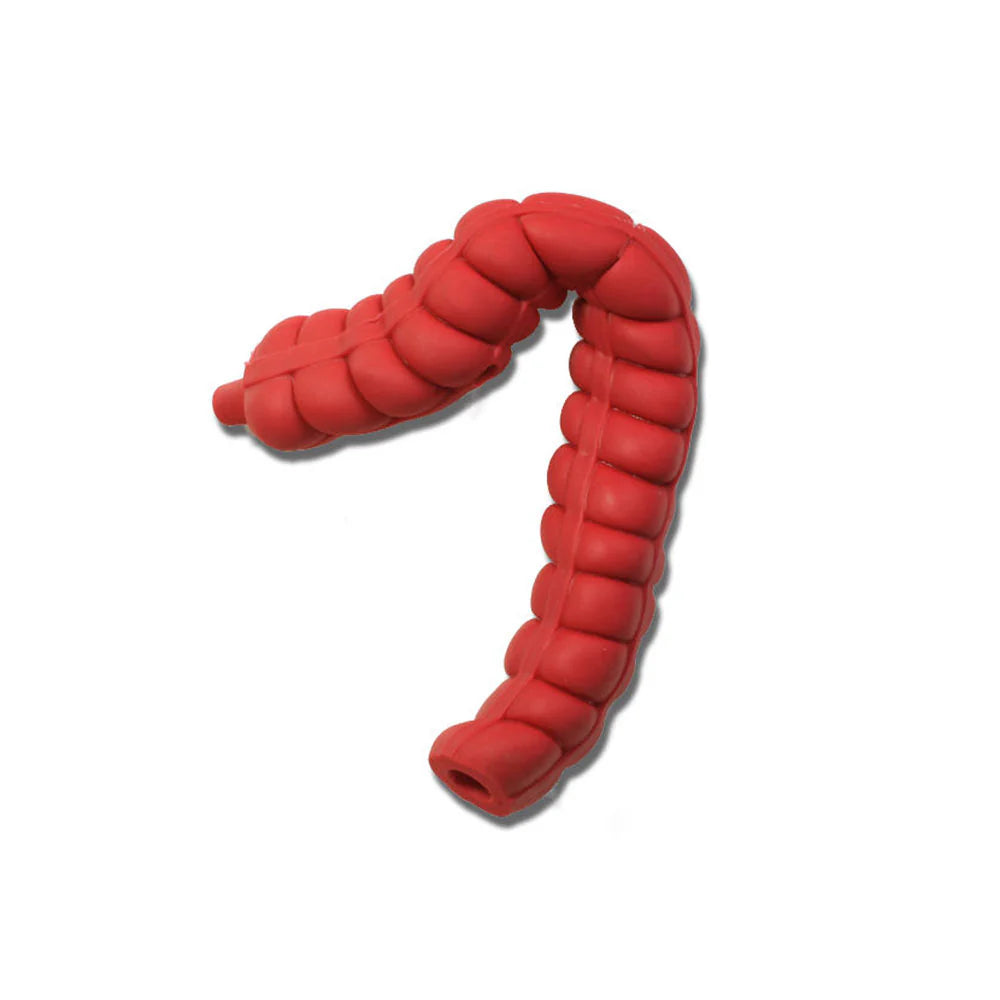 Transverse/Descending Large Intestine For Otto Ostomy