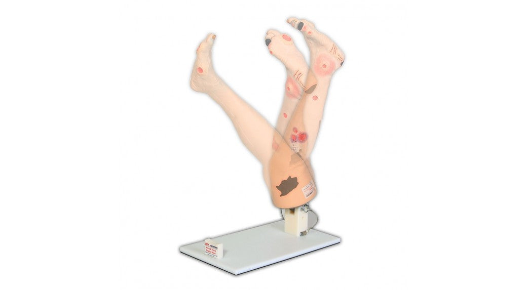 Display Stand for Vinnie or Annie Insufficiency Leg / Arm