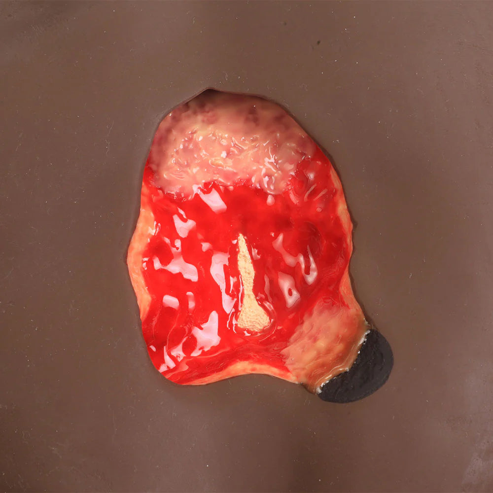 Seymour II Wound Care Simulator