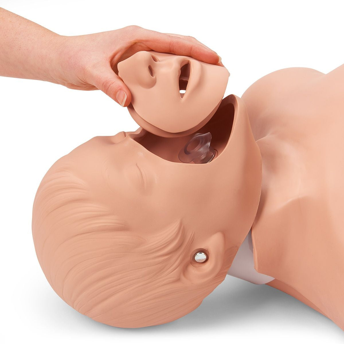 Brad Adult CPR Manikin