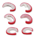 Switch Anatomy Model demonstrates the mechanism of 6 different meniscal tears 2 image