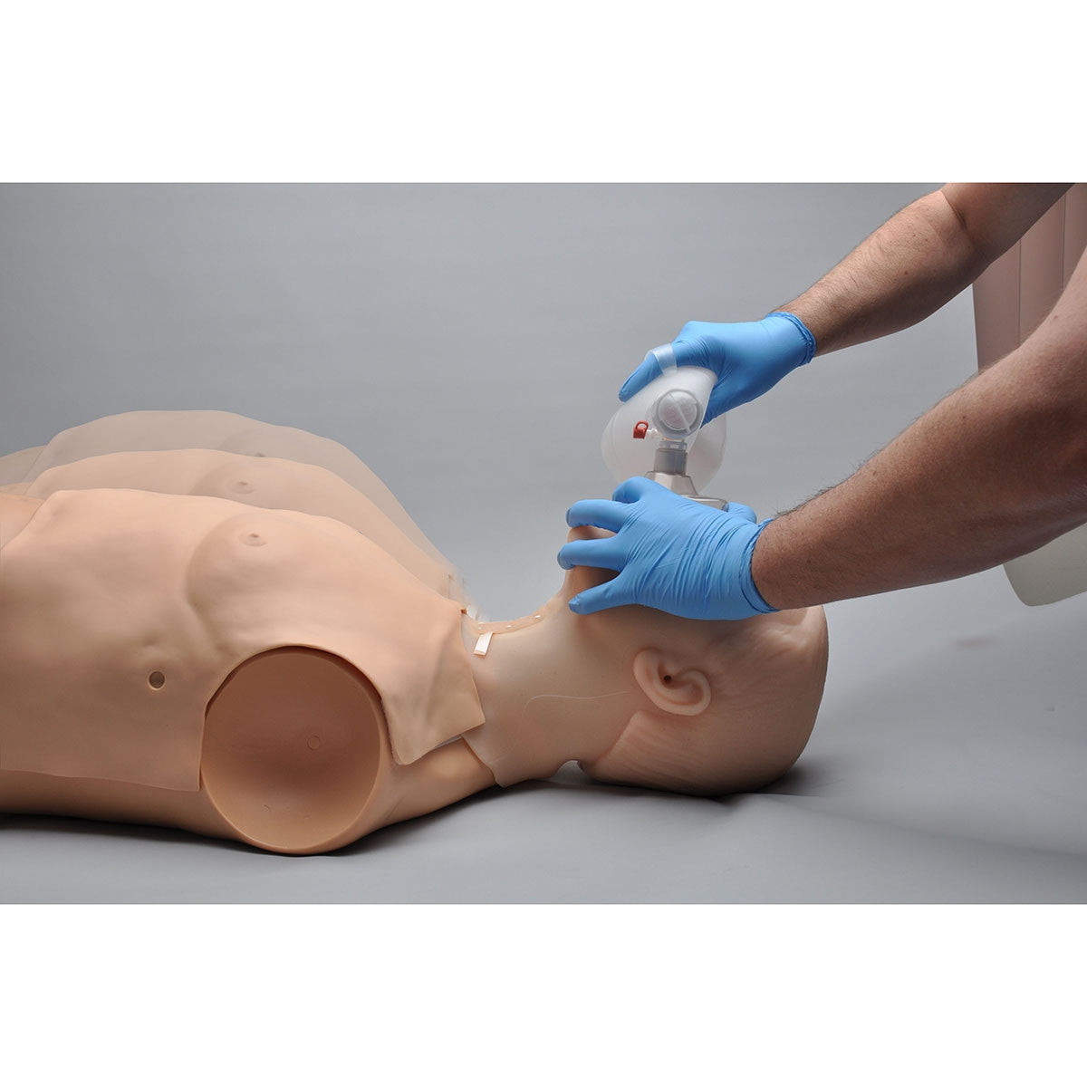 HAL Adult Airway and CPR Trainer