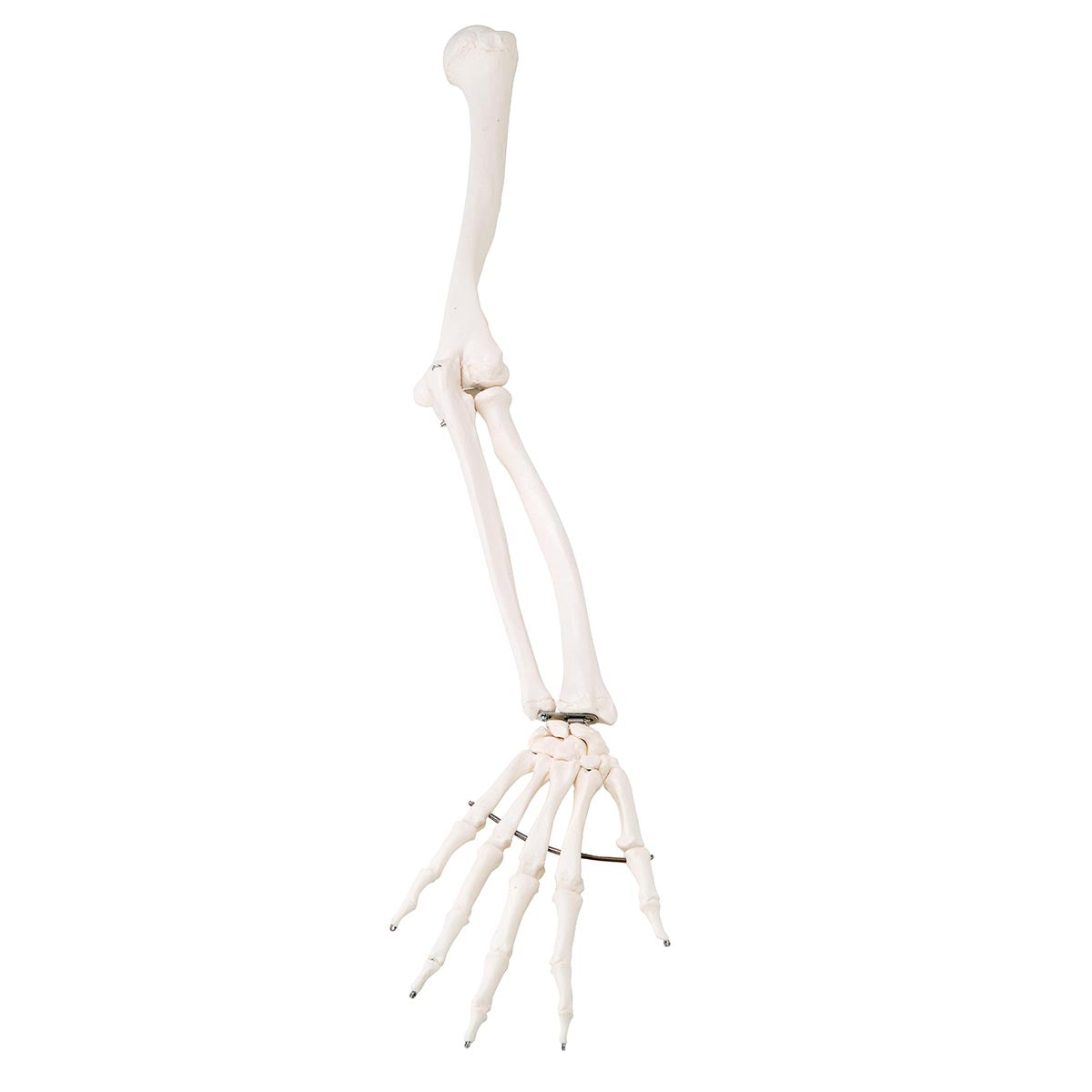 A10 Stan Replacement Arm (Right)