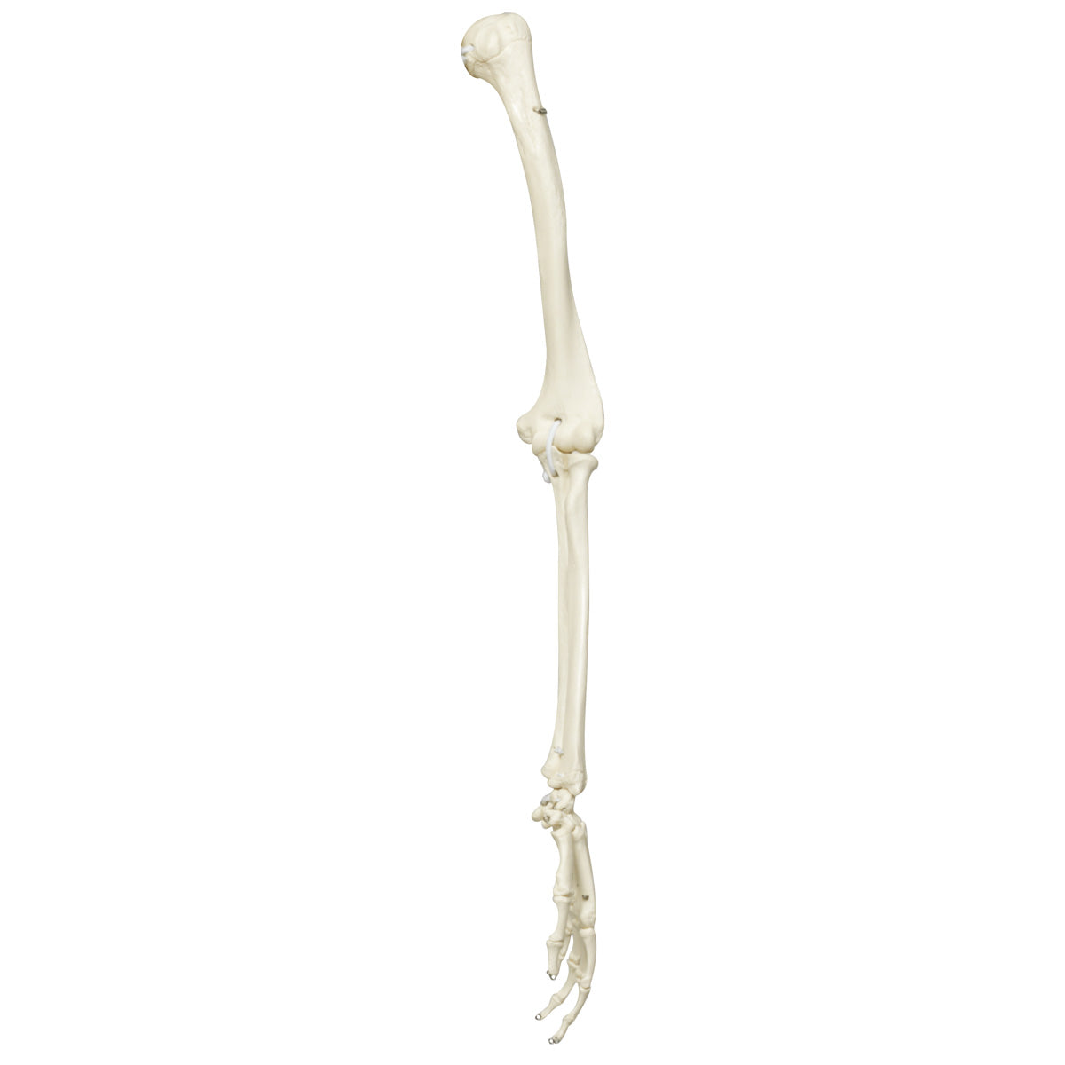A10 Stan Replacement Arm (Left)