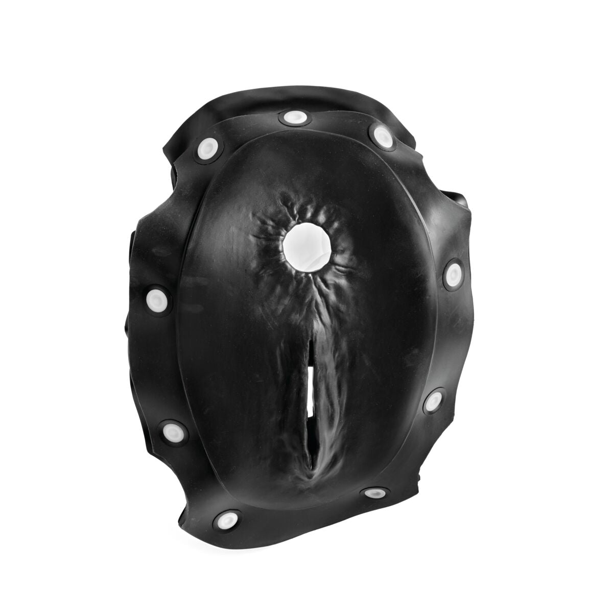 Hereford Palpation Panel Assembly