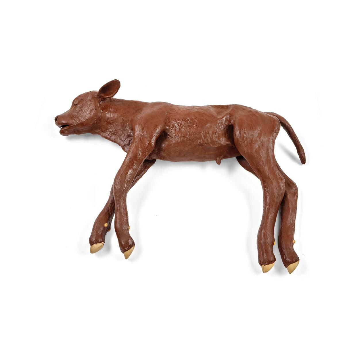 Dystocia Calf Model
