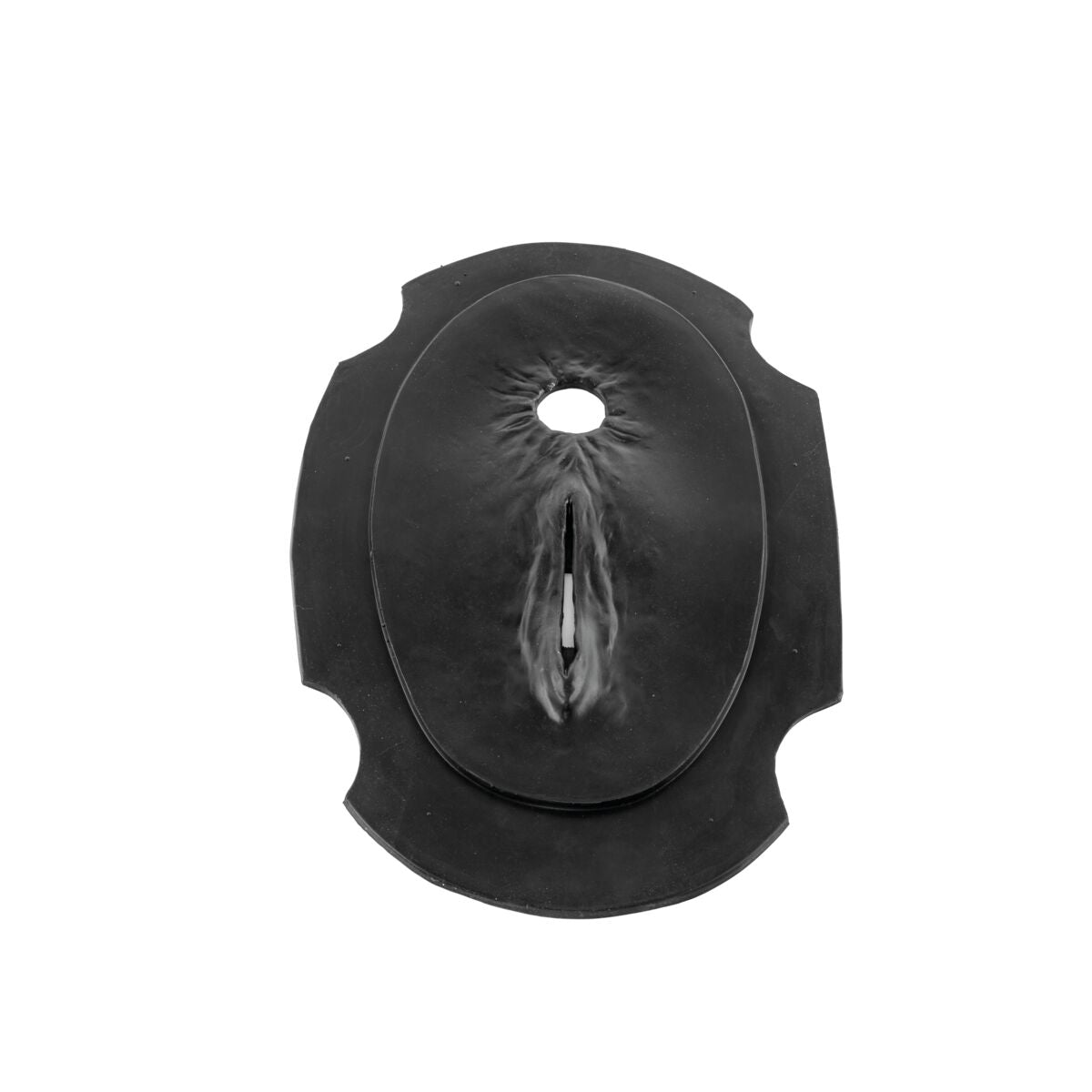 1025521 Hereford Palpation Perineum Black