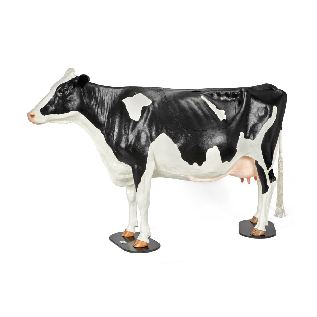 Bovine Dystocia Simulator (Holstein)