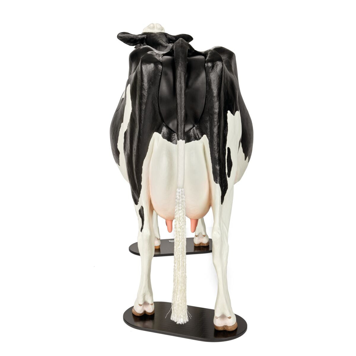 Bovine Dystocia Simulator (Holstein)