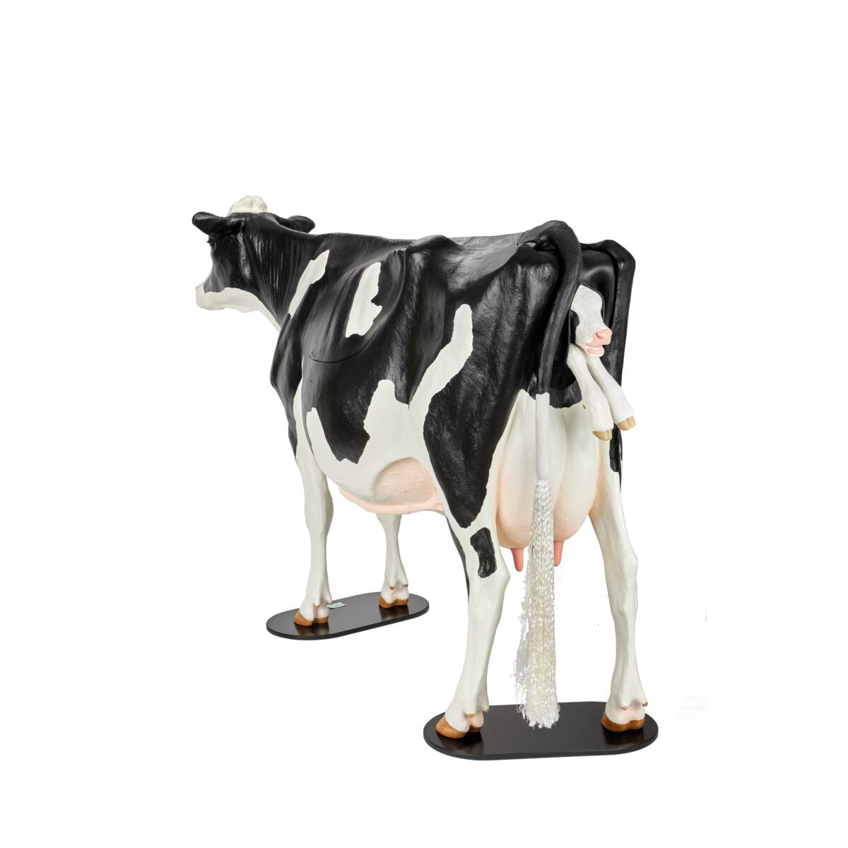 Bovine Dystocia Simulator (Holstein)