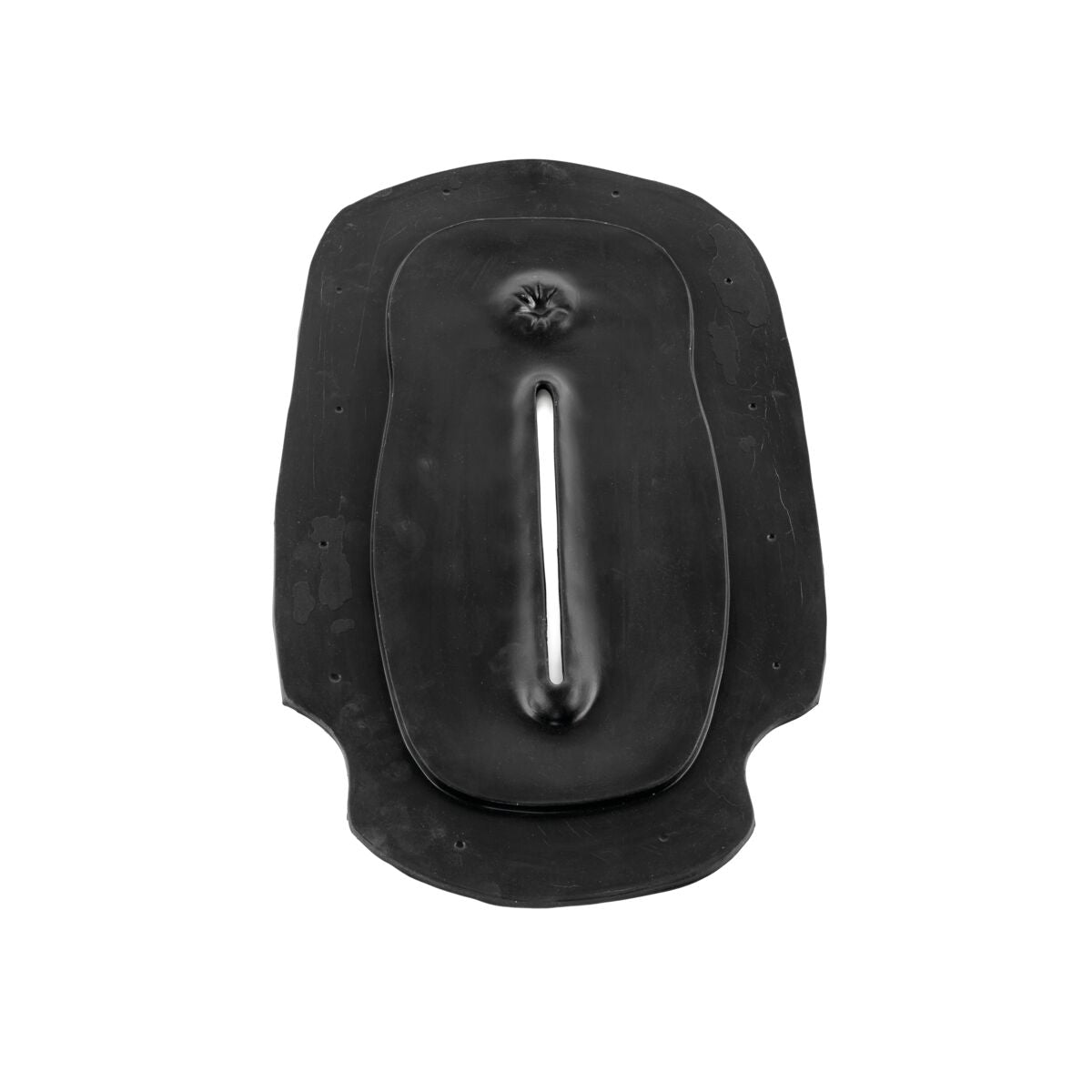 Holstein Birthing Perineum Panel