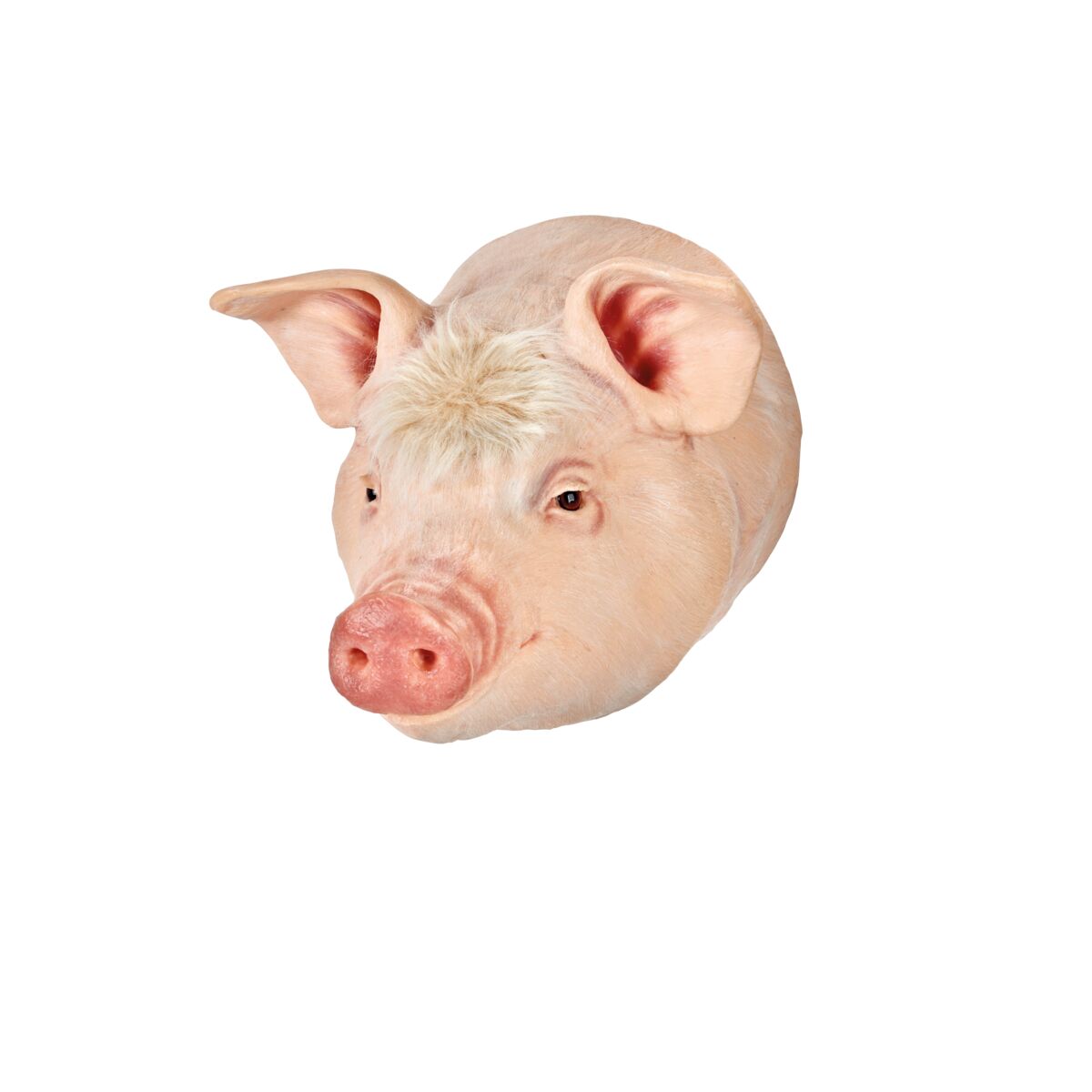 1025553_01_1200_1200_Market-Hog-Captive-Bolt-Gun