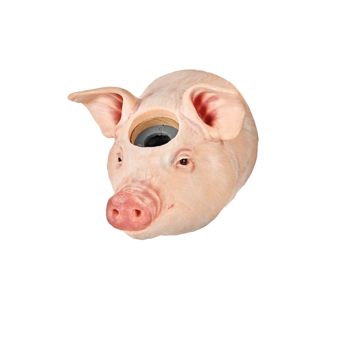 1025553_01_1200_1200_Market-Hog-Captive-Bolt-Gun cap removed