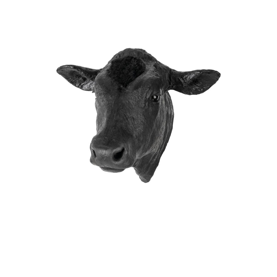 Captive Bolt Gun Penetrating Training Model