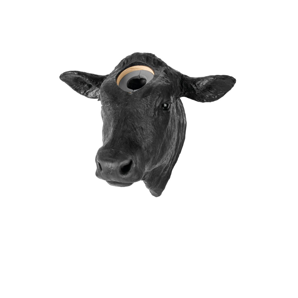 Captive Bolt Gun Penetrating Training Model