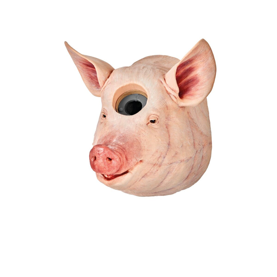 Captive Bolt Gun Penetrating Training Model