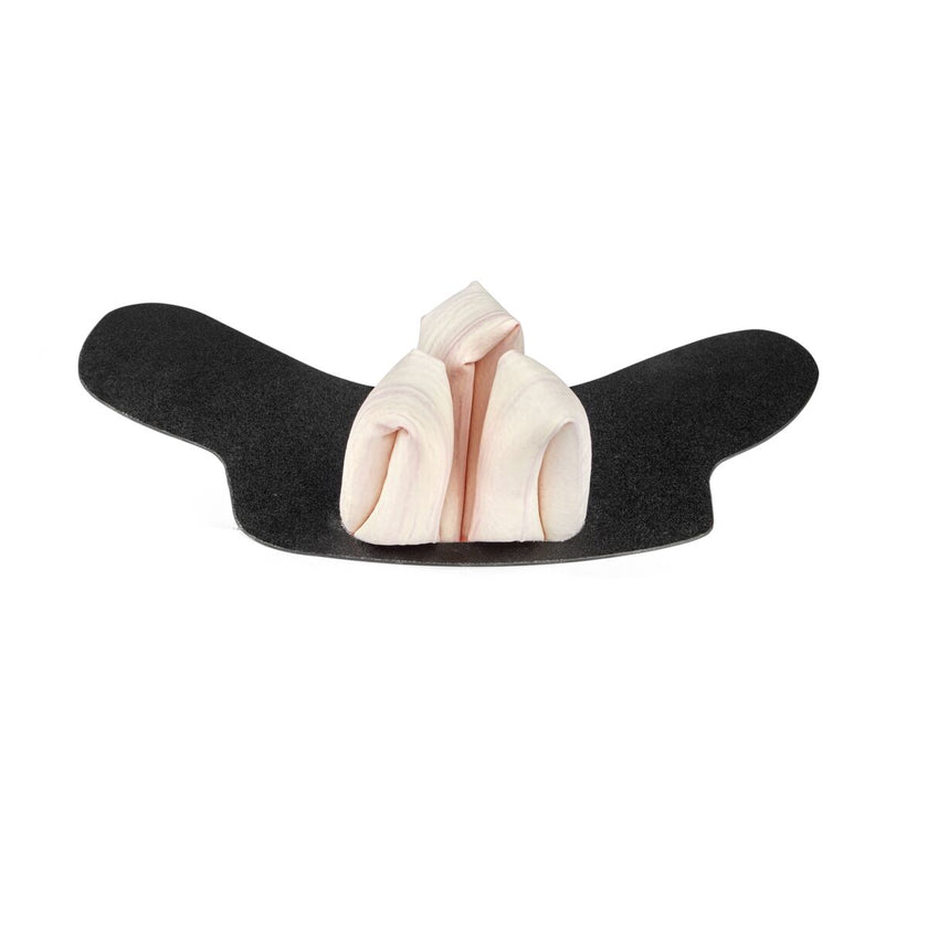 Equine GI Tract Model with Small Intestine