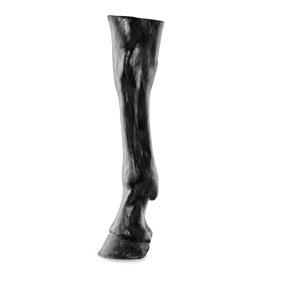 Equine Palpation / Radiology Limb Trainer