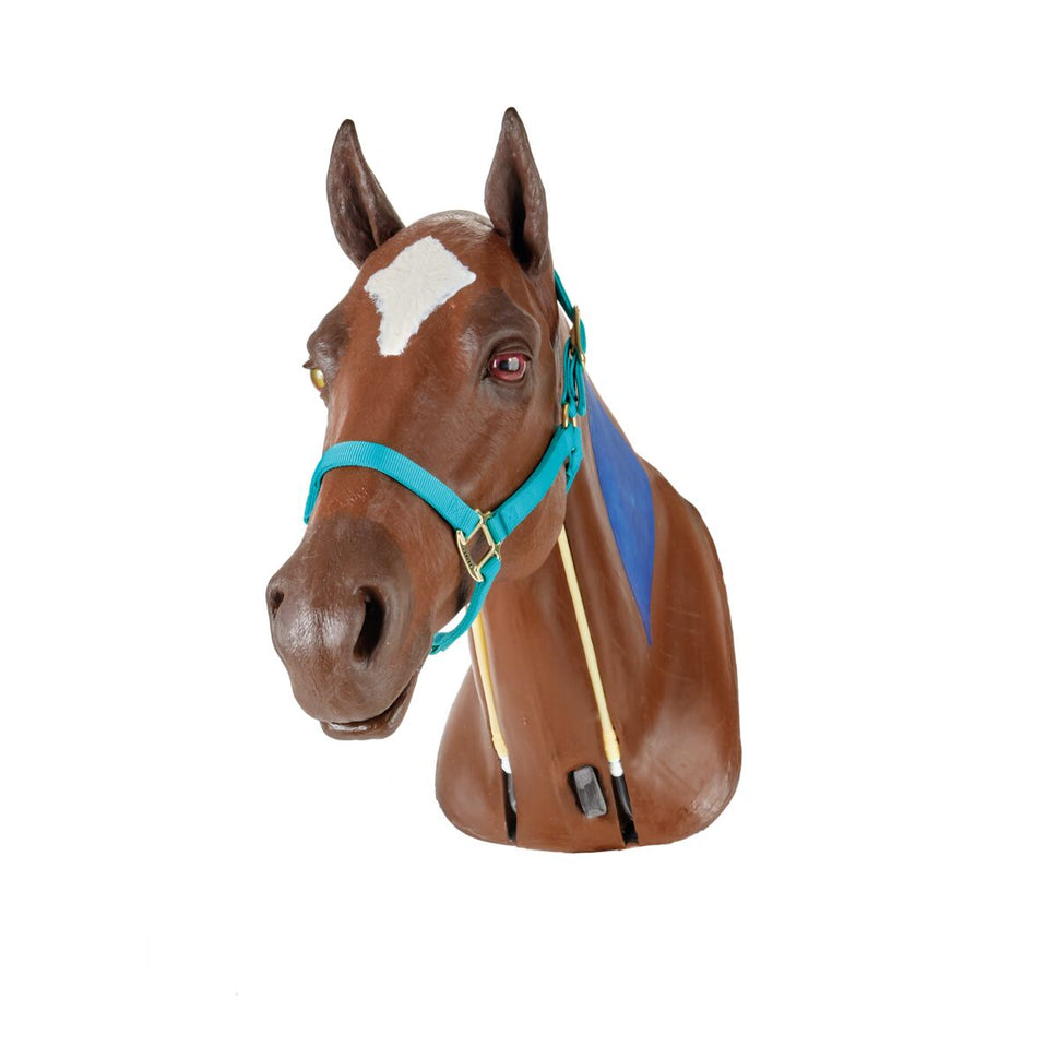 Equine Nasogastric & Venepuncture Simulator with IM Injection