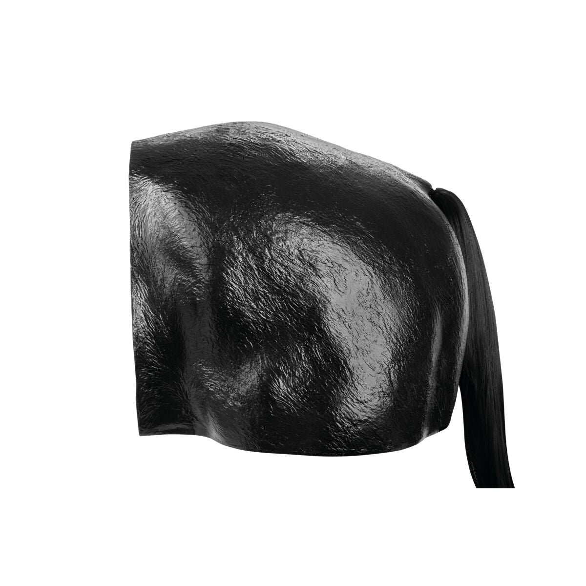 1025595_02_1200_1200_Equine-Theriogenology-Model