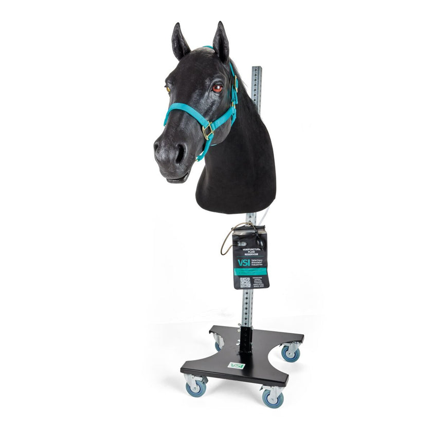 Equine Neck Venepuncture & Intramuscular Injection Trainer - 1025599