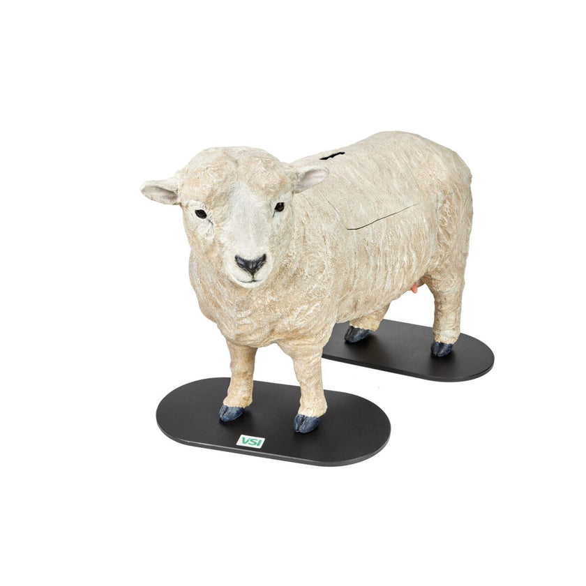 Southdown Dystocia Lamb Simulator With Single and Twins 1025616