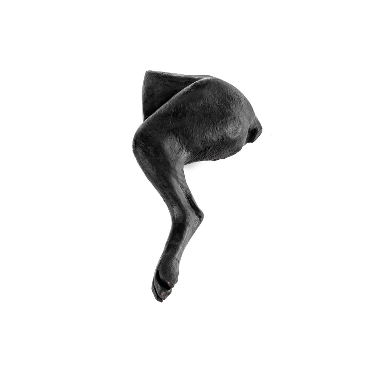 Canine Limb Bandaging Trainer