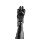 Switch Front Limb 3 image