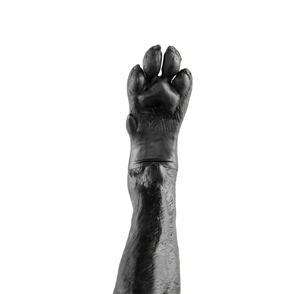 Front Limb