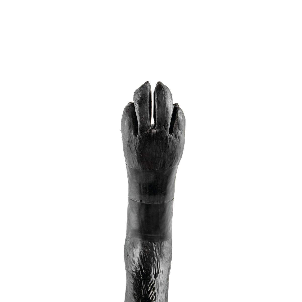 Rear Limb