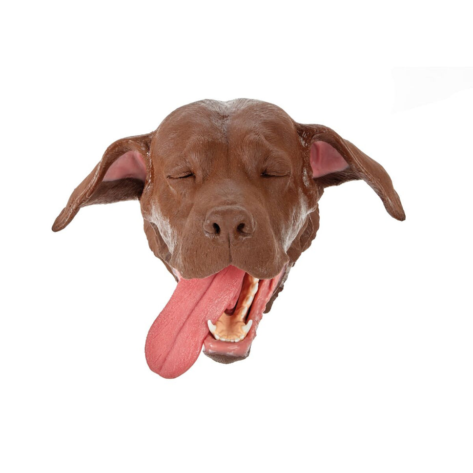 Replacement Dental Canine Head